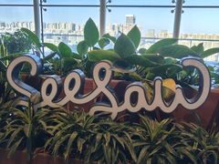 -Seesaw Coffee(朝阳大悦城店)