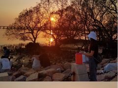 -宝安西湾红树林湿地公园