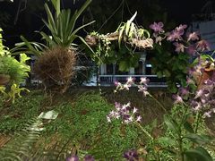-自然餐厅(Phuket)