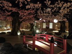 -蓝鲸湾汤泉(包河店)