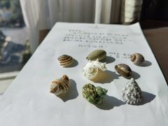 -青岛海尔洲际酒店