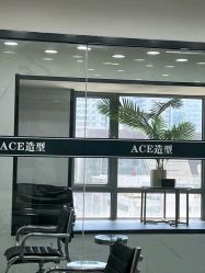 -ACE造型