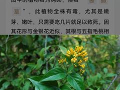 -福建医科大学附属第一医院(茶亭院区)