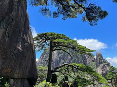 -黄山风景区