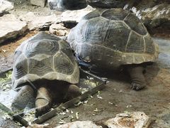 -杭州野生动物世界