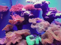 -上海海昌海洋公园