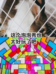 -小蜜蜂农场(凯德七宝购物广场店)