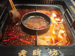 -老牌坊云南鱼豆花火锅(哈西万达店)