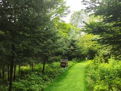 -帽儿山风景区