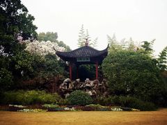 -西湖外事游船(花港观鱼码头)