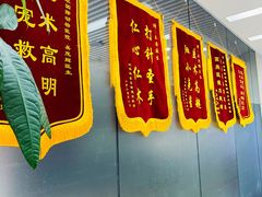-中农国际动物医院24小时·猫科·骨科·急重症中心
