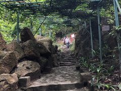 -大雁山风景区