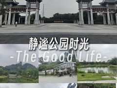 -王借岗森林公园
