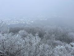-紫金山山顶公园