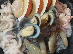 扇贝-丽江庭院之爱在路上(西单店)