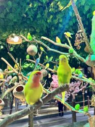 -酷嗒动物文化乐园(cutezoo西溪乐天城店)