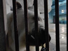 -泉城欧乐堡海洋极地世界