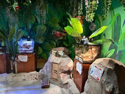 -酷嗒动物文化乐园(cutezoo西溪乐天城店)