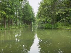 -西溪国家湿地公园