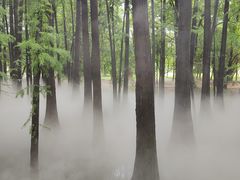 -东湖落雁景区