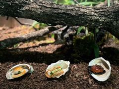 -曲廊院(东四十一条店)