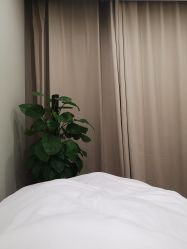 -贞禾医美·连锁