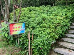 -全国青少年井冈山革命传统教育基地