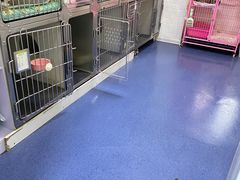 -瑞鹏宠物医院·爱宠堂(环西分院)