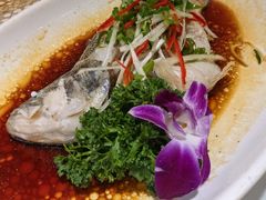 -小贝壳酒楼(经九路店)