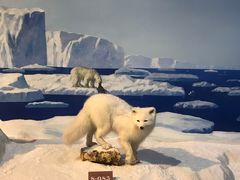 -陕西自然博物馆