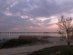 -宝安西湾红树林湿地公园