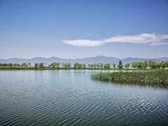 -野鸭湖国家湿地公园
