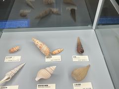 -天津古林古海岸遗迹博物馆