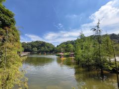 -广州市帽峰山景区