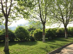 iphone_upload_pic-鹤壁迎宾馆