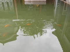 -广州神农草堂中医药博物馆