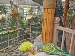 -南宫五洲植物乐园