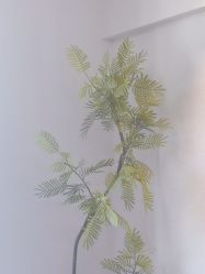 -小梨·OndaPro·专业脱毛连锁机构