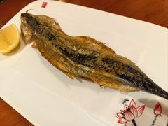 -1078號老北京涮肉(松柏店)