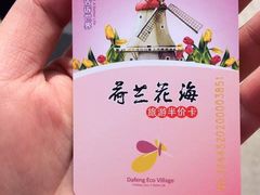 -荷兰花海