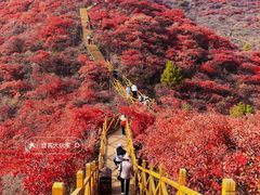 -水峪民俗村