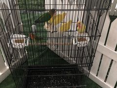 -澜悦港海鲜体验主题餐厅