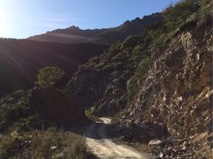 -白草畔自然风景区