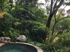 -碧桂园润杨溪谷温泉酒店