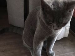 -宠颐生宠物医院·心肾内科·猫专科诊疗中心宠巢店