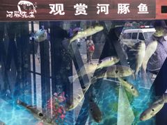 -肆月河豚·新淮扬(金融街店)
