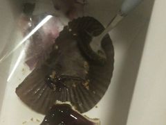 蓝莓芝士蛋糕-哈根达斯(美罗城店)