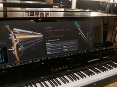 -柏斯音乐艺术中心·钢琴·吉他(上音店)