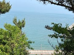 -大连金石滩滨海国家地质公园