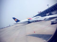 -上海浦东国际机场-T2航站楼